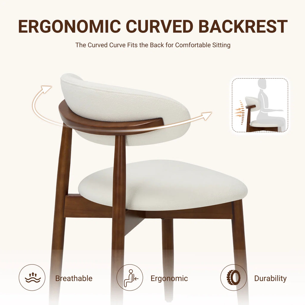 Koro Wooden Elegant Dining Chairs