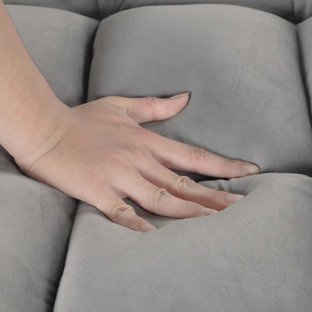 Nextra Tuffted Sofa Cum Bed