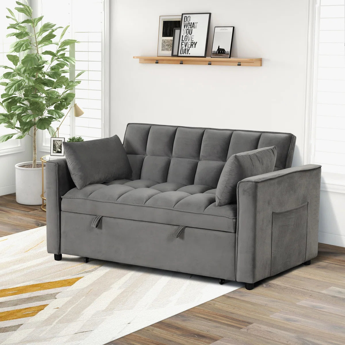 Nextra Tuffted Sofa Cum Bed