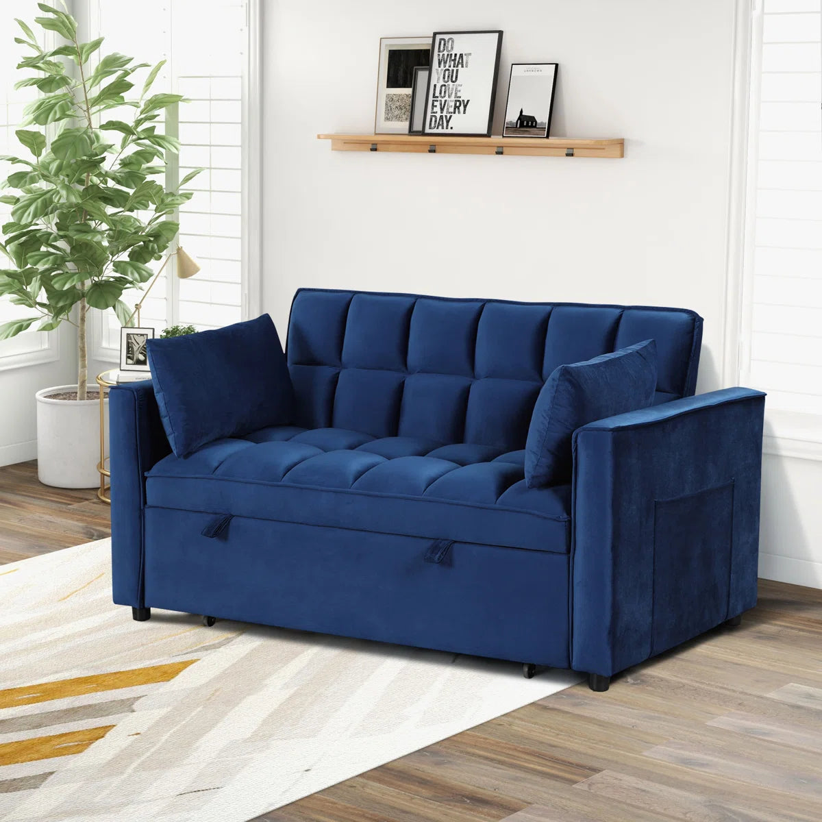 Nextra Tuffted Sofa Cum Bed